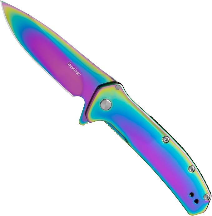 Kershaw Outcome Pocket Knife Silver 2.8 Inch Stainless Steel Drop Point Blade EDC with Assisted Opening Reversible Pocketclip Everyday Carry Pocket Knife for Men and Women