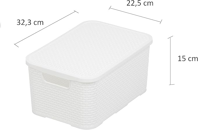 Basket with Lid in Rattan Design Set of 2 Size M 10 L BPA-Free Plastic PP White 32.3 x 22.5 x 15 cm Pack of 2