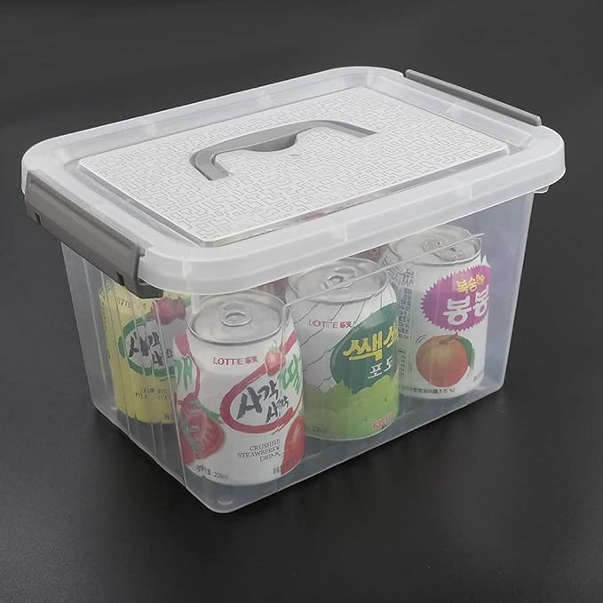 6 Liter Plastic Bins with Lids Clear Storage Boxes Set of 6