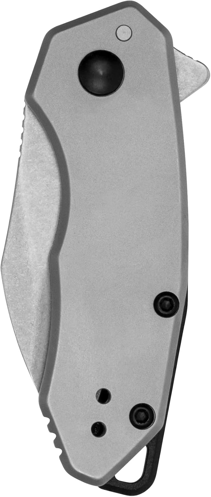Kershaw Rate Folding Pocket Knife Small Everyday Carry Knife with Assisted Opening 8Cr13MoV Stainless Steel Blade Pocketclip and Lanyard HoleGrey