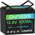 12V 100Ah Mini LiFePO4 Battery Group 24 12.8V Lithium Battery with 100A BMS Low-Temp Protection &amp 10 Years Lifespan for Trolling Motor Marine Boat RVs Solar Off-Grid Golf Cart