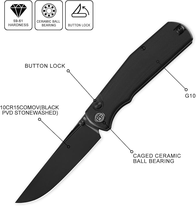 Petrified fish PFP14 Lis Folding Knife3.90 10Cr15CoMov Steel Black Stonewashed Blade G10 Handle Pocket Knife for Camping EDC Outdoor (Black Black Stonewashed)