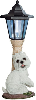 Bits and Pieces - Solar Dog Lantern-Solar Powered Garden Lantern - Resin Dog Sculpture with LED Light (Westie)