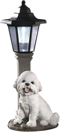 Bits and Pieces - Solar Dog Lantern-Solar Powered Garden Lantern - Resin Dog Sculpture with LED Light (Bichon) - 13.5 Tall
