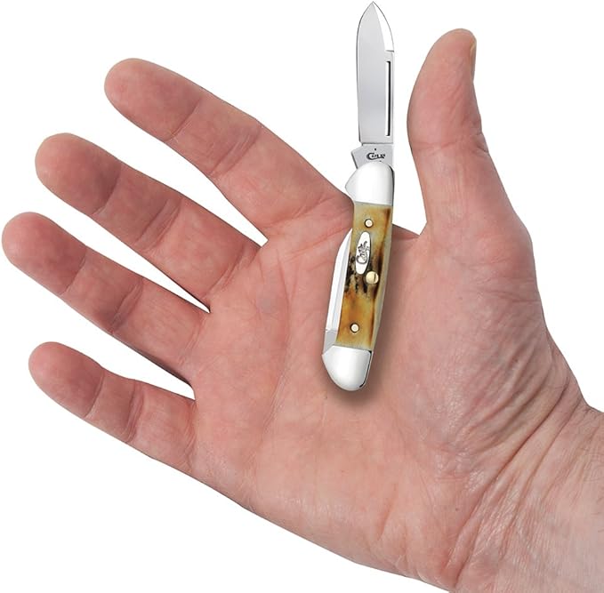 Case WR XX Pocket Knife Sambar Stag Baby Butterbean Item #5537 - (52132 SS) - Length Closed: 2 3/4 Inches