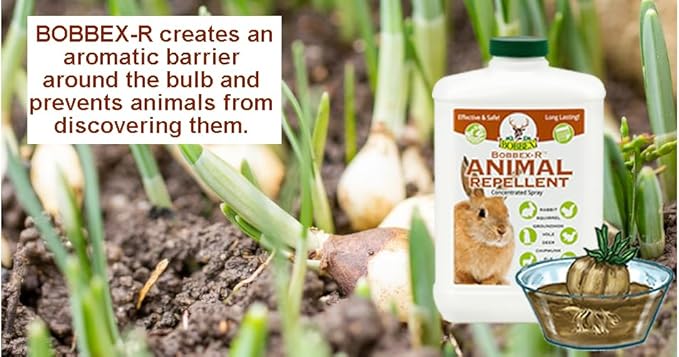 Bobbex Concentrated Animal Repellent Rabbit Squirrel and Chipmunk Repeller Concentrate (32 oz.) B550120