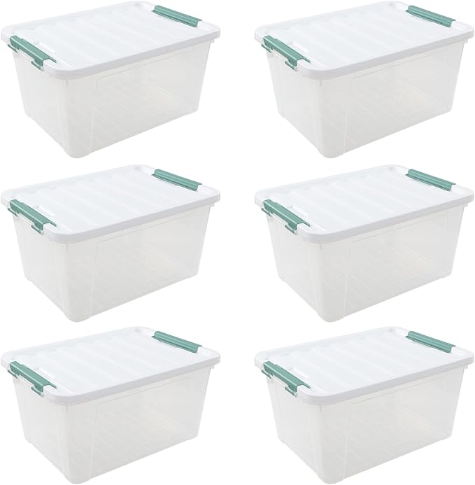 6-Pack 20 L Plastic Storage Box Clear Latch Storage Box with Lids