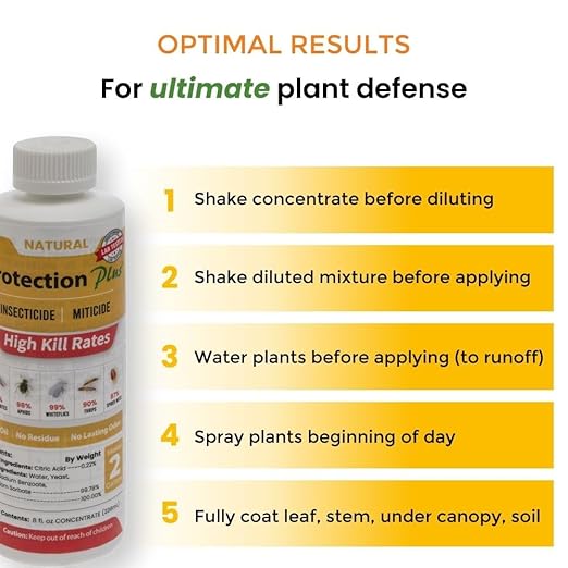 Environmental Plant Management Protection Plus Ready To Use | Oil-Free Contact Insecticide for Plants | Kill Aphids Whiteflies Spider Mites &amp Other Soft-Bodied Pests | Natural | Indoor &amp Out