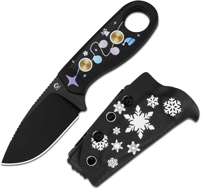 Kizer Beaver Fixed Blade Knife with Sheath 2.75 D2 Blade EDC Fixed Blade Camping Knife with Black G10 Handle Small Bushcraft Survival Knives Outdoor Hunting Knives for Men Women 1078MC1