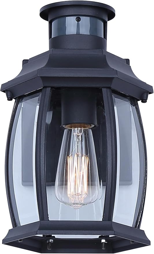 Grovehaven 1-Light Outdoor Light 10-inch Black Finish Wall Mounted with Clear Glass Built-in Motion Sensor/Photocell Lighting for Entryways Patios Porches