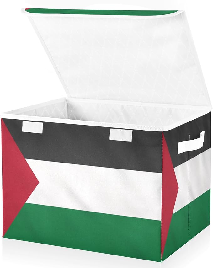 Palestine Flag Green Black Storage Bin with Lid Collapsible Bedroom Storage Closet Organizers and Storage for Home