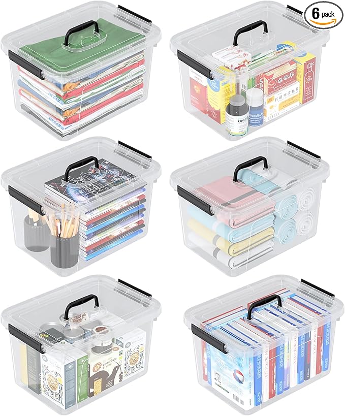 10 Liters Clear Boxes with Handles Plastic Small Storage Tote Bins Set of 6