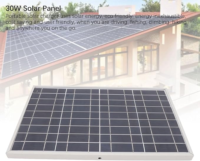 30W 12V Solar Panel Battery Charger Maintainer Portable Solar Panel Charger with Alligator Clips for Outdoor Camping Travel IP65 Portable for Car Boat RV Marine