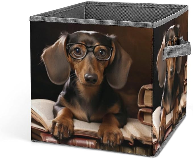 Dachshund Printed Foldable Storage Box 10.6 Inches Fabric Storage Box for Wardrobe Bedroom Utility Room