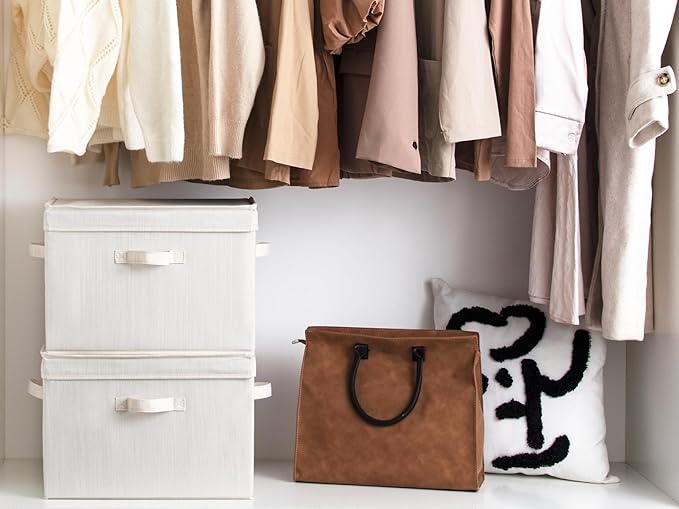 StorageWorks Closet Storage Bin with 13x13 Storage Cubes