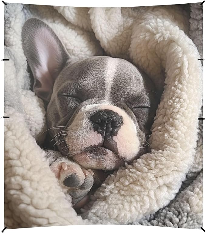 ALAZA French Bulldog Puppy Sleeping in A Soft Blanket Beach Tent Sun Shelter Portable Canopy Sunshade for Outdoor Camping Picnics Backyard Fun 10x9 ft
