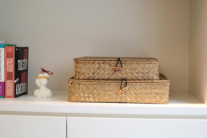 DOKOT Flat Seagrass Storage Bins with Lid Wicker Basket for Shelf Organize Set of 2 (Small+Large)