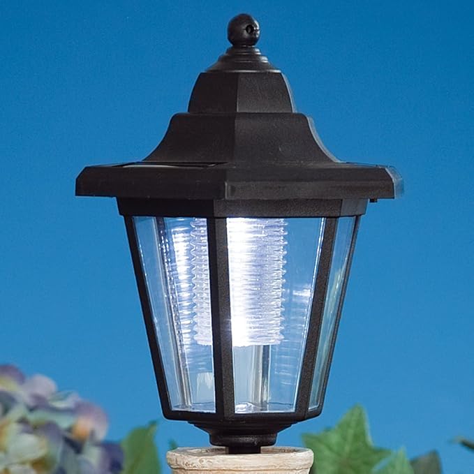 Bits and Pieces - Solar Dog Lantern-Solar Powered Garden Lantern - Resin Dog Sculpture with LED Light (Dachshund) - 13.5 Tall