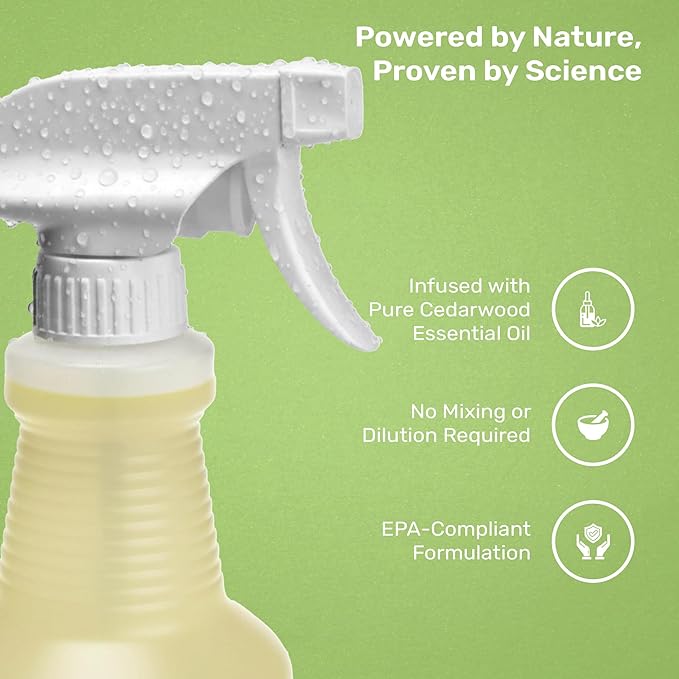 Mosquito Magician Indoor Pest Spray – Design for Indoor Use to Neutralize Spiders Roaches Ants &amp Flies with Plant-Sourced Essential Oils Efficient Ready to Use Home Pest Spray – Rosemary 16 OZ