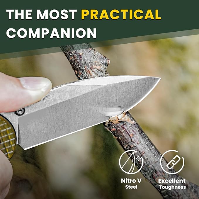 Kizer Assassin Pocket Knife 2.99 Nitro-V Steel Blade Folding Knife PEI Handle EDC Knife for Men Women Outdoor Hunting Camping Knife with Pocket Clip V3549A1