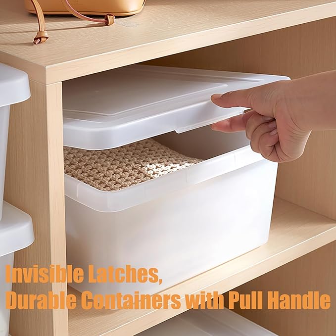 15 Quart Stackable Plastic Storage Bins with LidsContainer to Organize Shoes and Crafts on Closet ShelvesGarage Totes Tubs Boxes Organizing 2 Pack (N-2L)