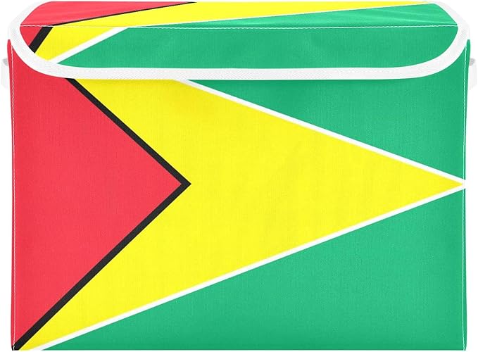 Guyana Flag Guyanese Blue Red Storage Boxes with Lids Collapsible Square Storage Garage Storage Bins for Office Supplies
