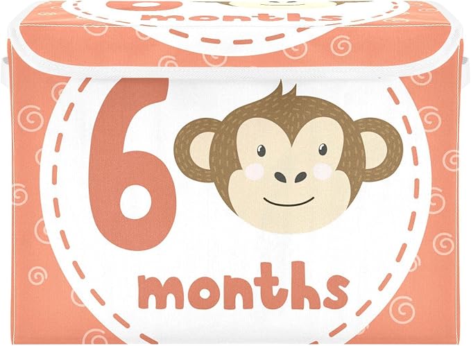 6_months Storage Bins with Lids Foldable Organizer Storage Storage Box with Lids for School Supply Dormroom Storage