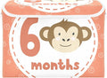 6_months Storage Bins with Lids Foldable Organizer Storage Storage Box with Lids for School Supply Dormroom Storage