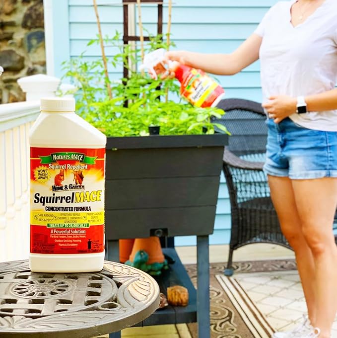 Nature's Mace Squirrel Repellent for Outdoors Chipmunk Deterrent for Attic Garden Car Keep Out of Garden Bird Feeders Fruit Trees Yard Plants (1 Gallon Ready-to-Use)