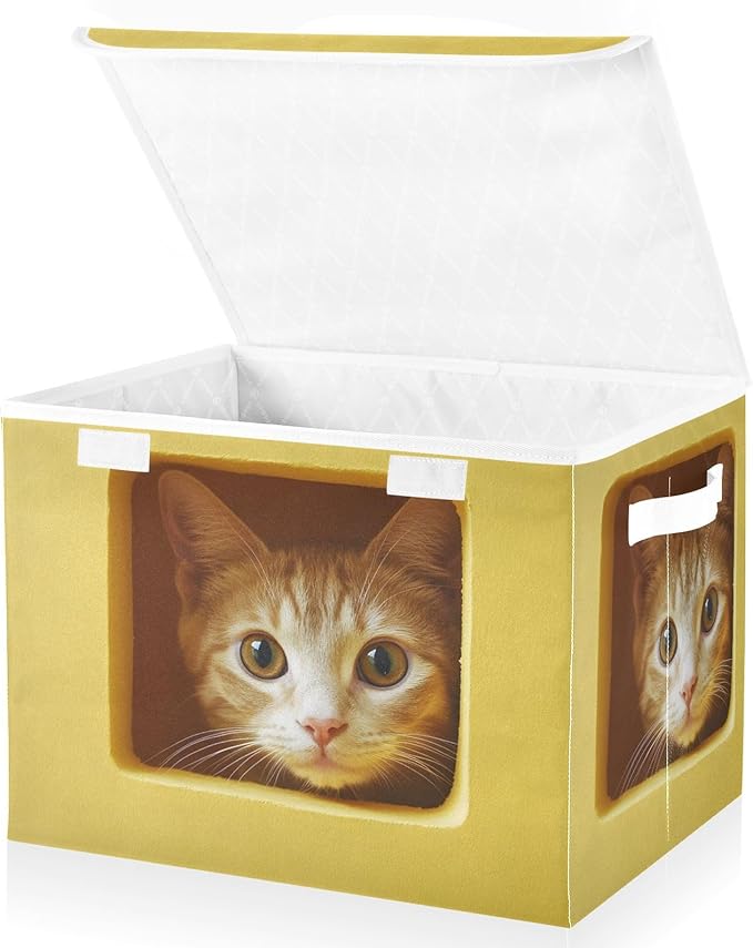 Storage Cube with Lid Curious Cat Print 16.5×12.6×11.8 IN Collapsible Large Capacity Foldable Storage Basket Bin Organizer