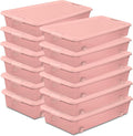 Sterilite 12 Pack Wheeled Under Bed Storage Container 56 Qt Plastic Bin w/Latching Lid for Organization - Clothes &amp Shoes Organizer Pearl Blush Tint