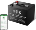 SOK Battery 12V 100Ah LiFePO4 Deep Cycle Lithium Iron Phosphate Battery Built-in Bluetooth Low Temperature Protection &amp Self Heating Function Suitable for RV and Solar &amp Wind Off-Grid Use