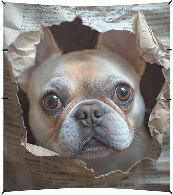 ALAZA French Bulldog Sticking Its Head Through A Hole Beach Tent Sun Shelter Portable Canopy Sunshade for Outdoor Camping Picnics Backyard Fun 10x9 ft