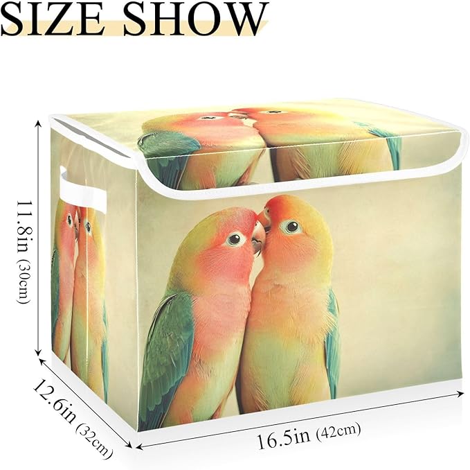 AIXIWAWA Lidded Storage Cube (Love Parrot) Fabric Foldable Closet Bins with Flip Lid and Handles Organizer Basket Container 16.5 x 12.6 x 11.8 IN