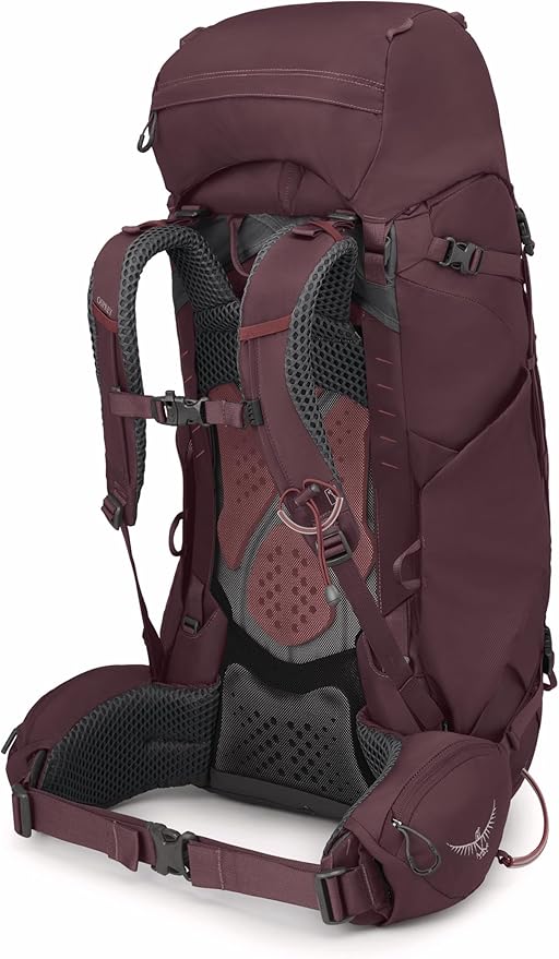 Osprey Kyte 58L Women's Backpacking Backpack with Hipbelt Elderberry Purple WM/L