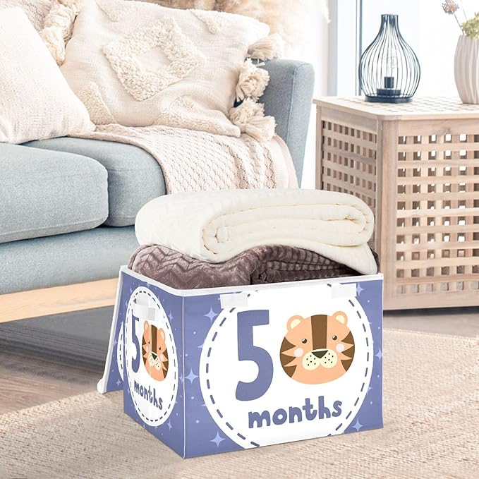 5_months Storage Box with Lid Collapsible Cube Storage Shoe Boxes with Lids for Dorm Room Dormroom Storage