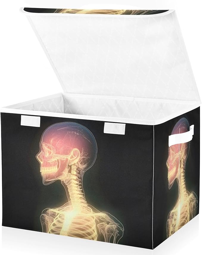 AIXIWAWA Lidded Storage Cube (Shining Skeleton) Fabric Foldable Closet Bins with Flip Lid and Handles Organizer Basket Container 16.5 x 12.6 x 11.8 IN