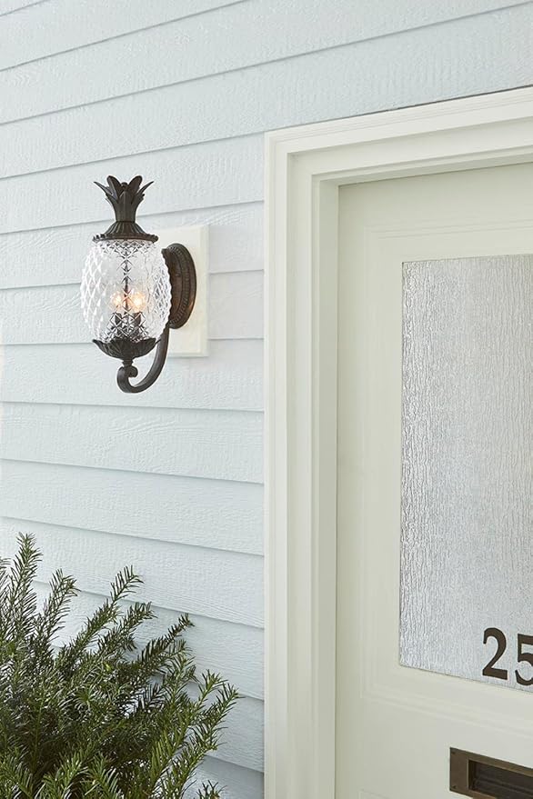 Acclaim 7501BC Lanai Collection 2-Light Wall Mount Outdoor Light Fixture Black Coral
