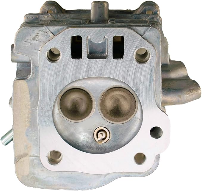 Tapa Assembled Cylinder Kit Compatible with Some Champion 212cc 224cc Engine 5300 5500 5000 4450 4650 4250 4000 3650 3500 Generator Log Splitter Front Tiller and More