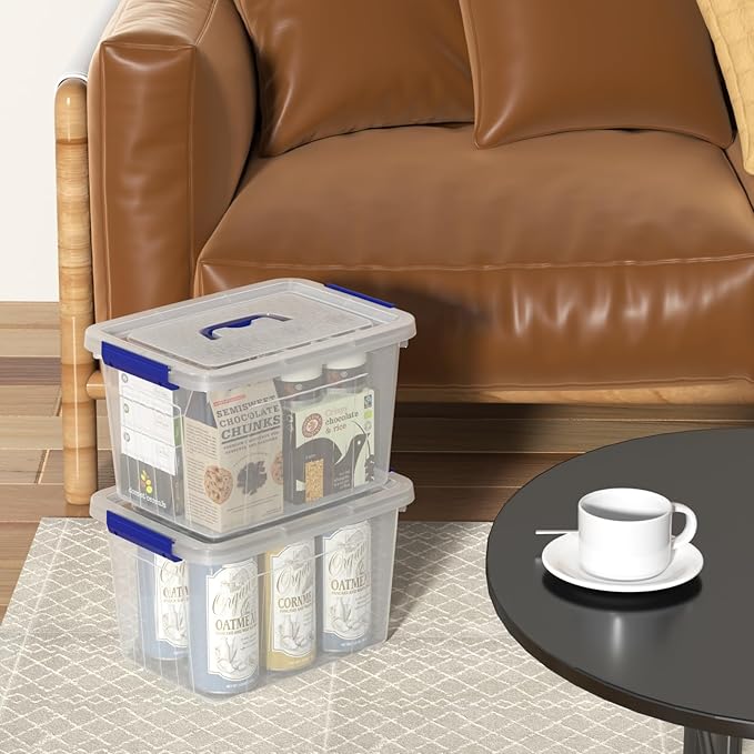 Vababa 4-Pack 10 L Clear Plastic Latch Storage Boxes with Lids