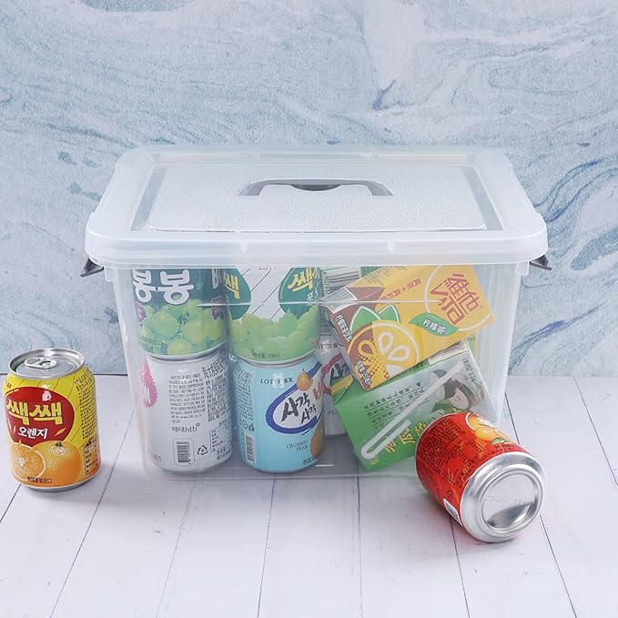 12 Qt Storage Container with Lid 1 Pack Latching Box Clear Bin with Handle