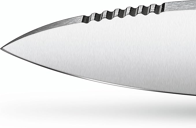 Victorinox Venture Fixed-Blade Full Tang Stainless Steel Outdoor Knife - Durable Olive Handle Swiss Army Knife That is Ideal for Camping and Survival