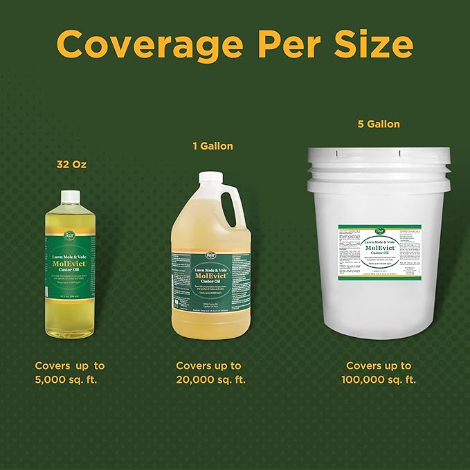 Baar Products - MolEvict Lawn Mole Castor Oil - Mole &amp Vole Repellent - Lawn &amp Garden Protection - Up to 5000 Sq. Ft. of Coverage - Safe for Use Around House &amp Plants - 32 Ounces