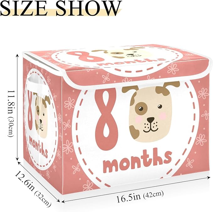 8_months Storage Bins with Lids Collapsible Shoebox Storage Large Storage Bins with Lids for Office Supplies Office