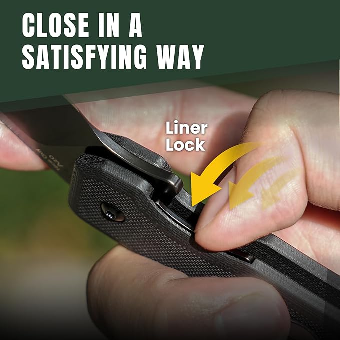 Kizer Nice Guy Pocket Folding Knife 2.84” D2 Steel Blade knives G10 Handle Small EDC Knife Liner Lock Flipper Knives for Men Women Sharp Camping Hiking Hunting Survival Knives V3011M1
