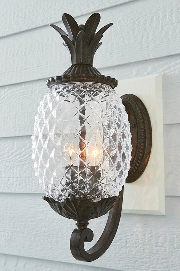 Acclaim 7501BC Lanai Collection 2-Light Wall Mount Outdoor Light Fixture Black Coral
