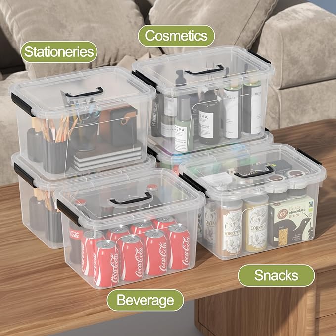 10 Liters Clear Boxes with Handles Plastic Small Storage Tote Bins Set of 6