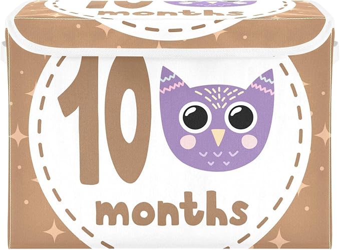 10_months Storage Bin with Lid Collapsible Organization Storage Qt Storage Bins for Dorm Room Home Decor