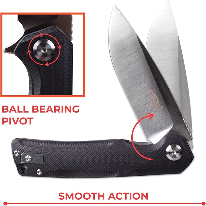 Firebird GANZO FH91-BK Ball Bearing Pocket Folding Knife D2 Steel Blade Ergonomic G10 Anti-Slip Handle with Clip Camping Fishing Hunting Outdoor Flipper EDC Pocket Knife (Black)