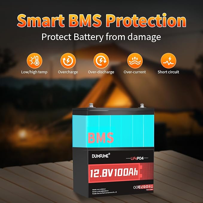 2 Packs 12V 100Ah LiFePO4 Lithium Battery Built in 100A BMS 1280W Power Output Up to 6000+ Cycles Ideal for RV Solar Off-Grid Systems Home Energy Storage